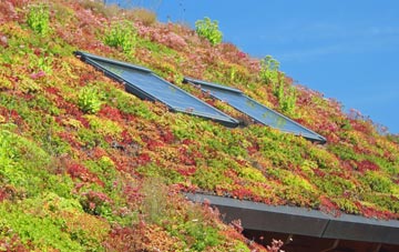 North Wraxall living roof systems