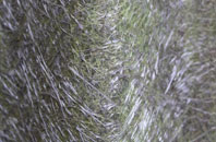 North Wraxall fibreglass roof work